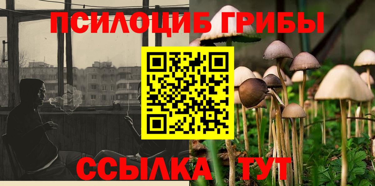 Галлюциногенные грибы GOLDEN TEACHER  Псилоцибиновые грибы прущие грибы  Тара  Вход с VPN 